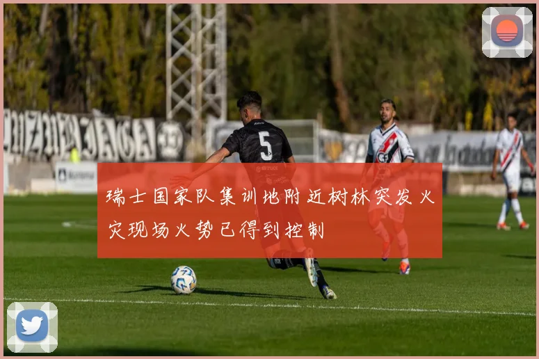 瑞士国家队集训地附近树林突发火灾现场火势已得到控制